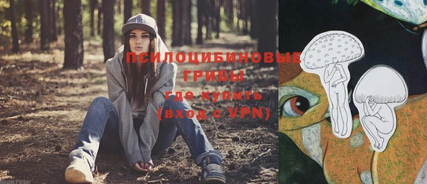 дурь Алексин