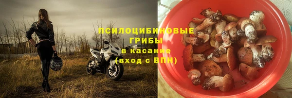 дурь Алексин